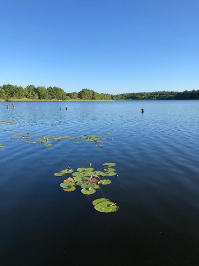5 Sterne-Ferienhaus Eisvogel Am See Mit Sauna Und Kamin Krakow am See Dış mekan fotoğraf