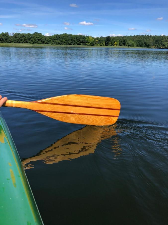 5 Sterne-Ferienhaus Eisvogel Am See Mit Sauna Und Kamin Krakow am See Dış mekan fotoğraf